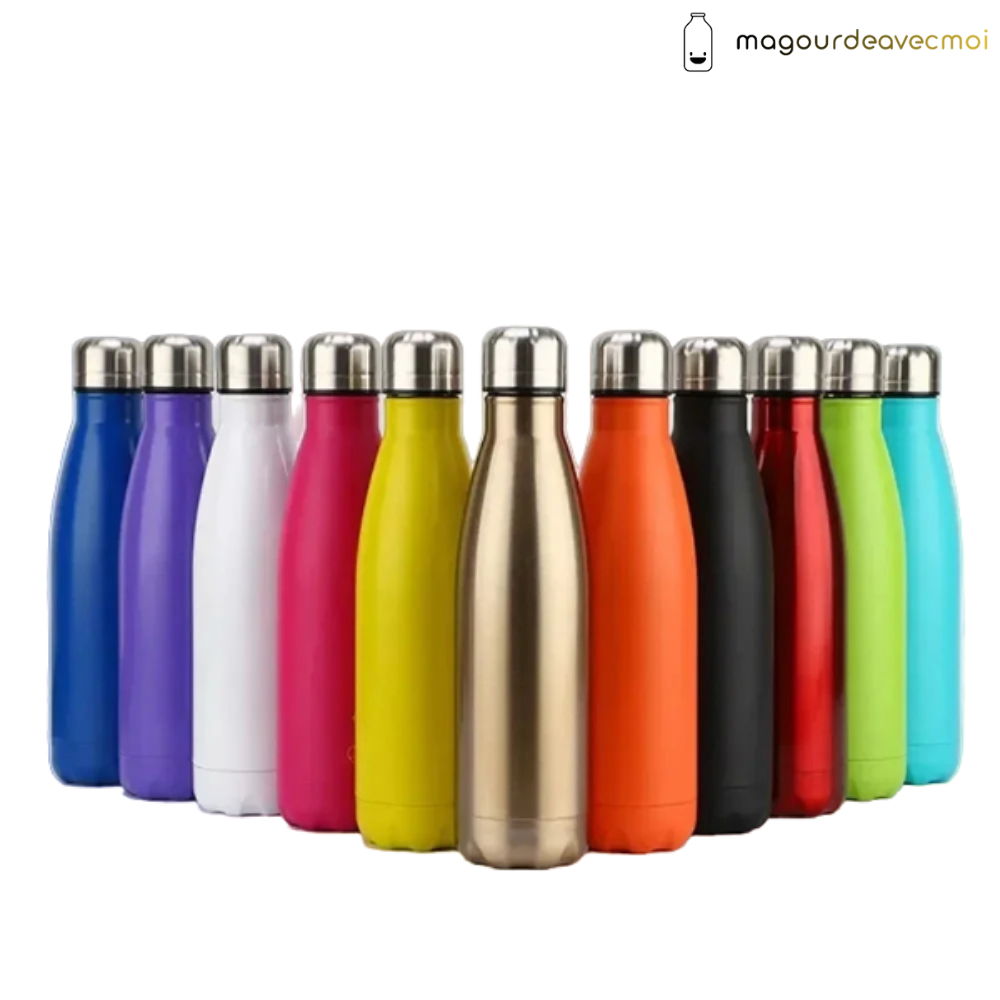 Bouteille en inox Thermos double paroi
