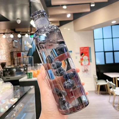 Gourde Transparente 500/750 ml