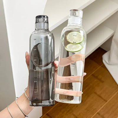 Gourde Transparente 500/750 ml